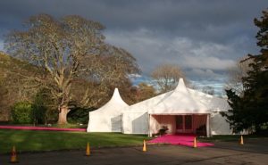 Anice Mohamed Services Gallery Anice Mohamed Services  